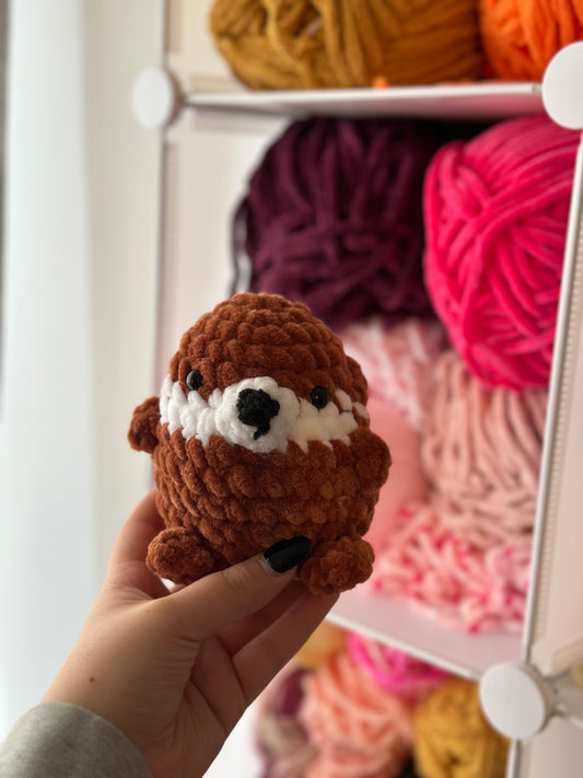 Cozy Otter