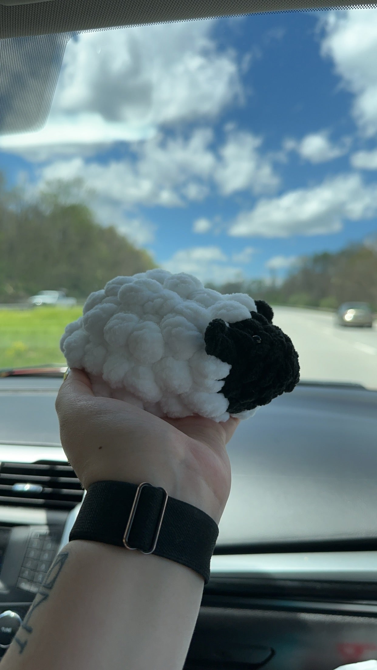 Woolly the Sheep