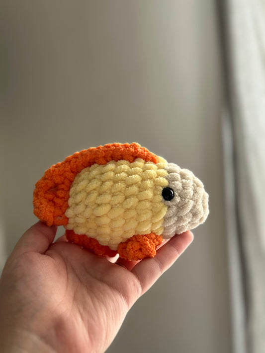 Fish