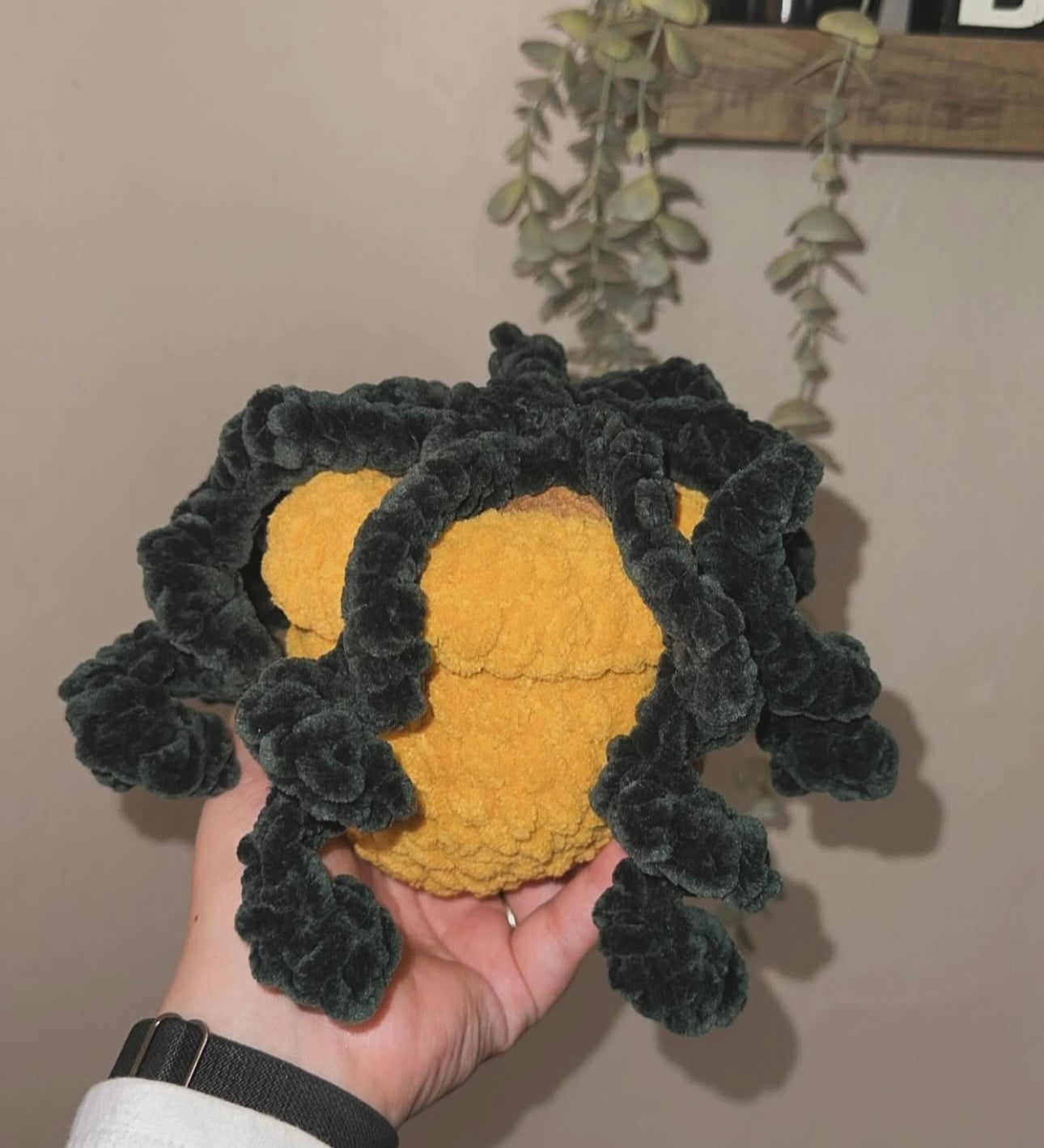 Plant