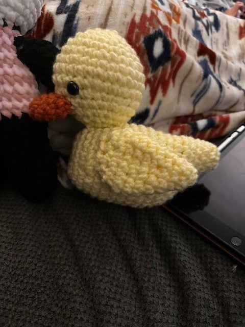Rubber Ducky