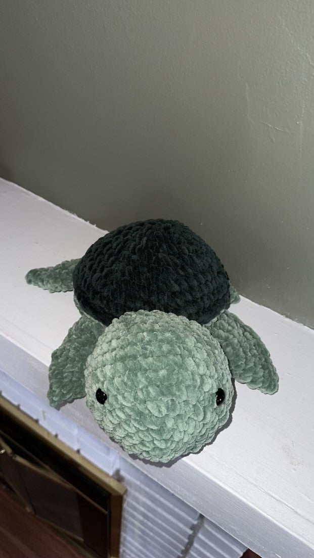 Sea Turtle