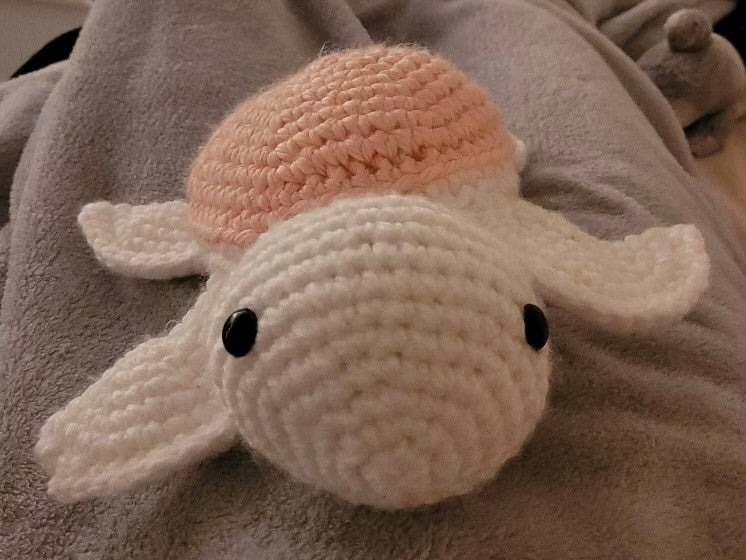 Sea Turtle