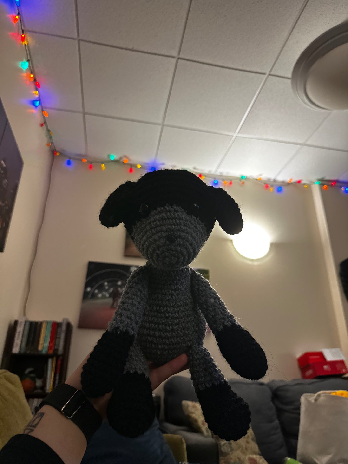 Dog