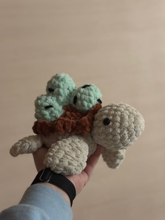 FrostyTop Shell-turtle