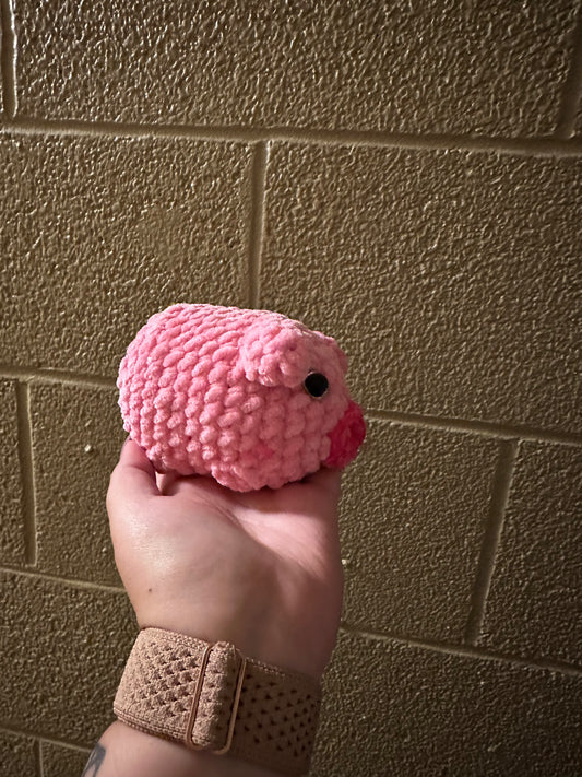 Pig